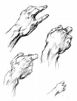 268x350 bridgman's complete guide to drawing from life alec nevala lee - Bridgman Drawing