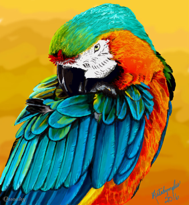 662x720 the bright bird an animals speedpaint drawing - Bright Drawings