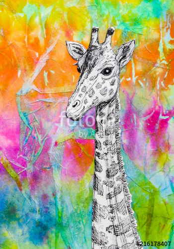 350x500 white giraffe drawing on bright rainbow colored background - Bright Drawings