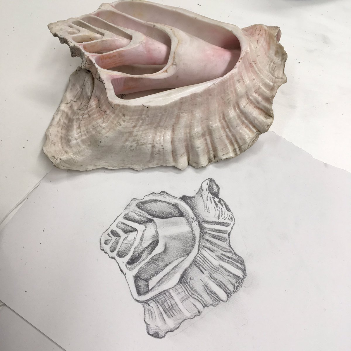 1200x1200 ashleigh whiffin on twitter some brilliant drawings of our - Brilliant Drawings