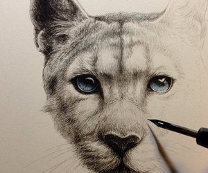 300x250 images about brilliant drawings on we heart it see more - Brilliant Drawings