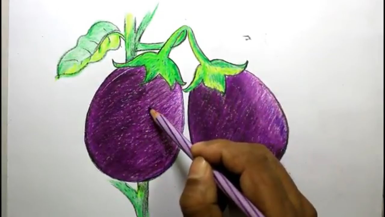 1280x720 how to draw and shade brinjal step - Brinjal Drawing