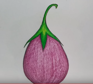 300x270 how to draw eggplant easy step - Brinjal Drawing