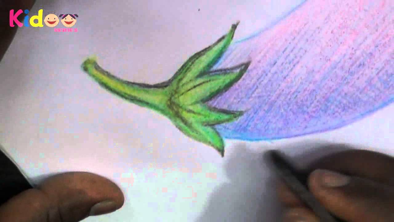 1280x720 how to draw brinjal - Brinjal Drawing Picture