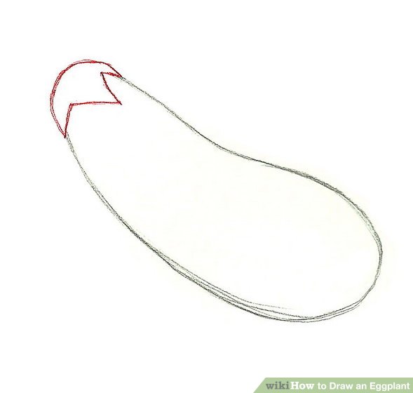 589x560 how to draw an eggplant steps - Brinjal Drawing Picture