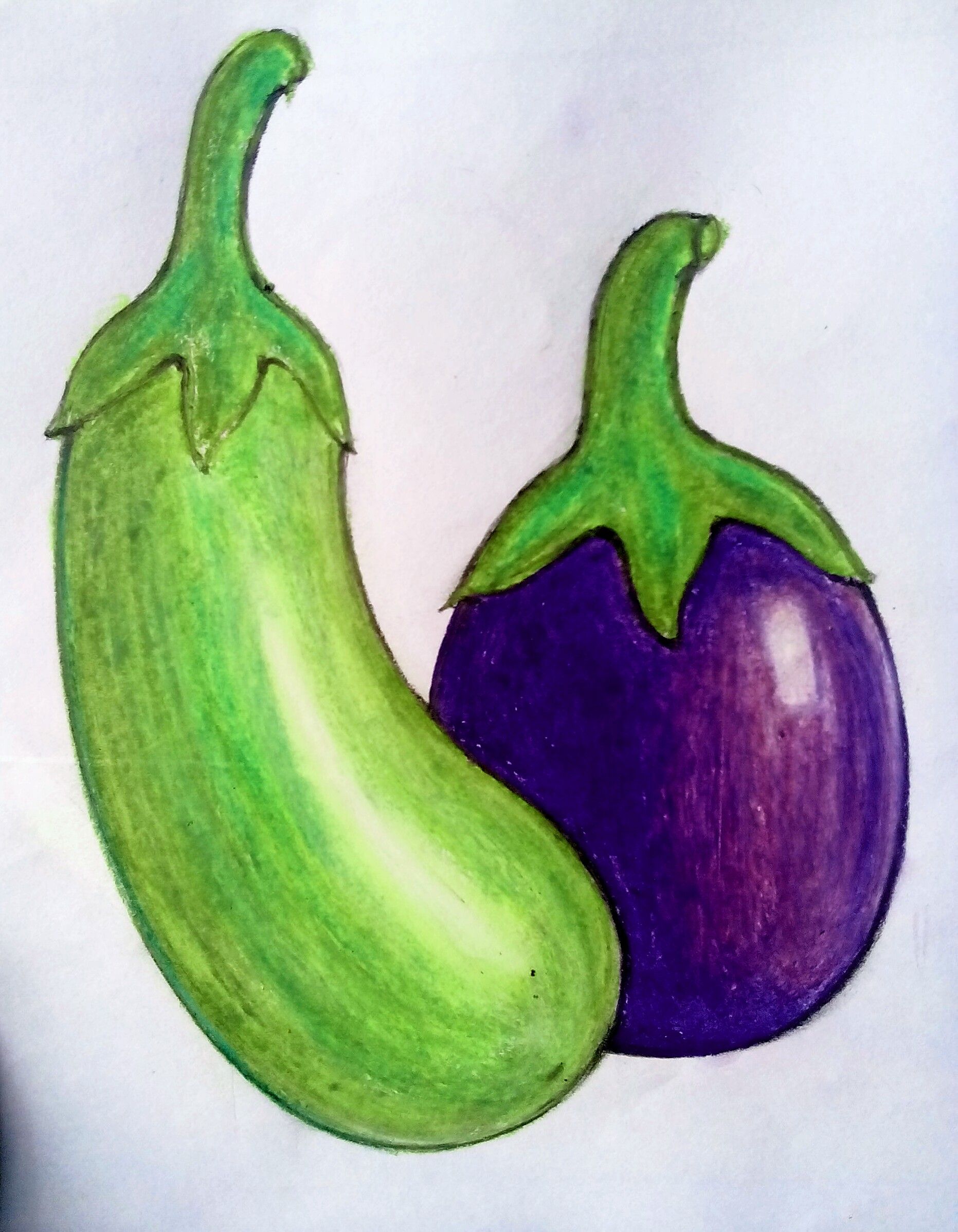 1863x2397 brinjal drawing in drawings, pencil drawings - Brinjal Drawing Picture