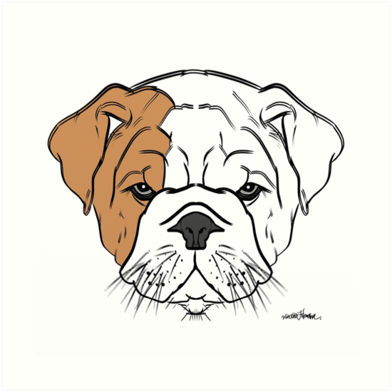 550x550 british bulldog puppy design art prints - British Bulldog Drawing