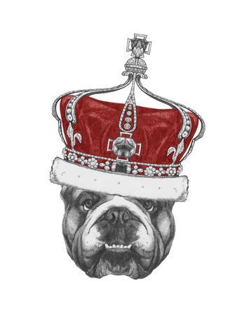 338x450 original drawing of english bulldog with crown isolated - British Bulldog Drawing