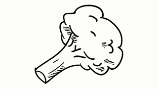 320x180 Broccoli Vegitable Health Food Hand Drawing Illustration Animation - Broccoli Drawing