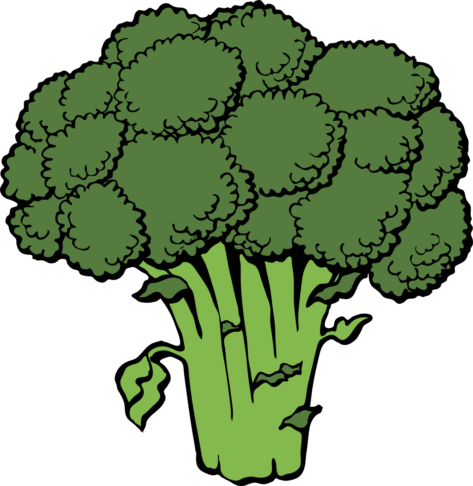 1969x2022 Collection Of Free Broccoli Drawing Download On Ui Ex - Broccoli Drawing