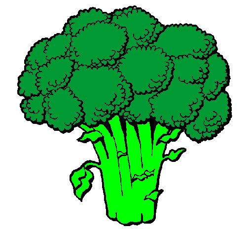505x470 Colored - Broccoli Drawing