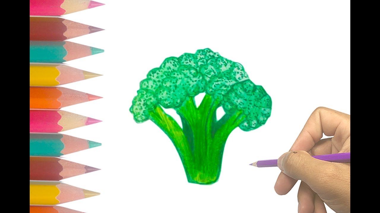 1280x720 Easy Step - Broccoli Drawing