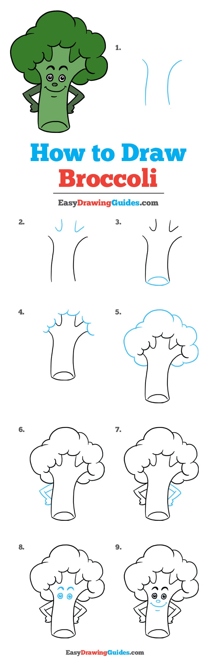 736x2246 How To Draw Broccoli - Broccoli Drawing
