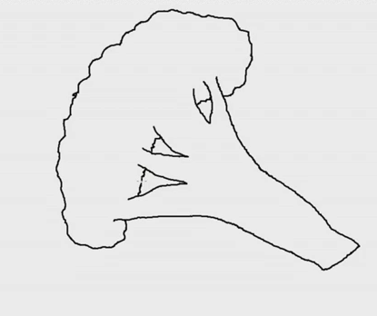 415x348 How To Draw A Broccoli Step - Broccoli Drawing