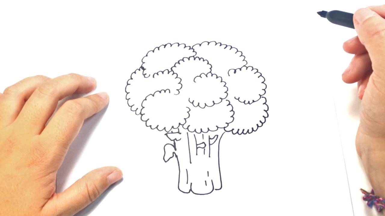 1280x720 How To Draw A Broccoli Step - Broccoli Drawing
