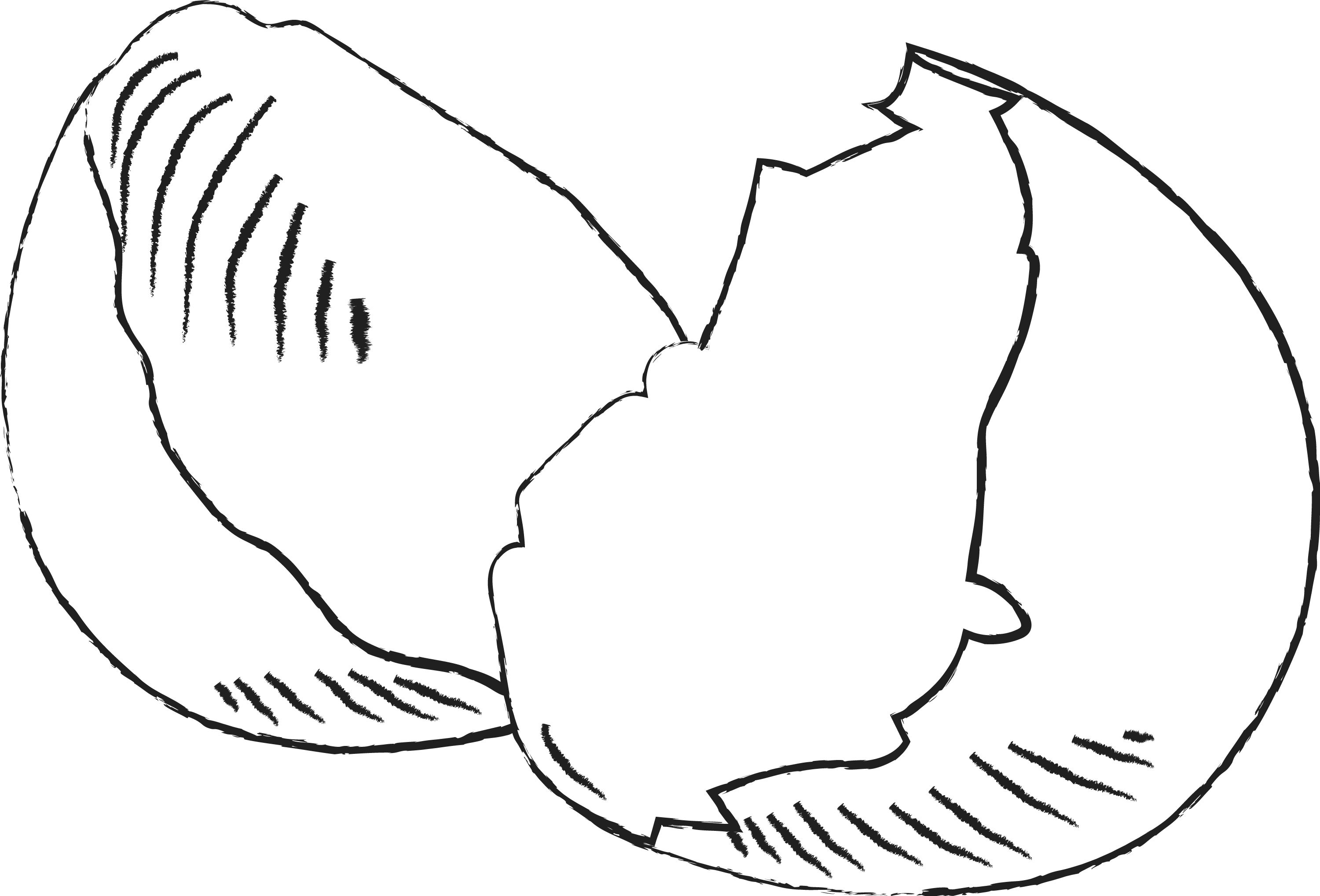 3000x2036 Broken Egg Shell - Broken Egg Drawing
