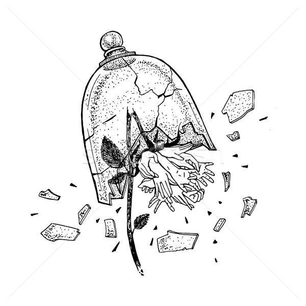 600x600 Hand Drawn Broken Wild Rose In View Of Hands Under The Glass - Broken Hand Drawing