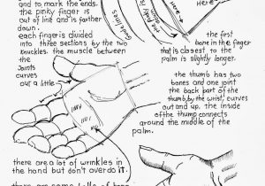 300x210 Hand Held Out Drawing Broken Hand Mirror Drawing At Getdrawings - Broken Hand Mirror Drawing