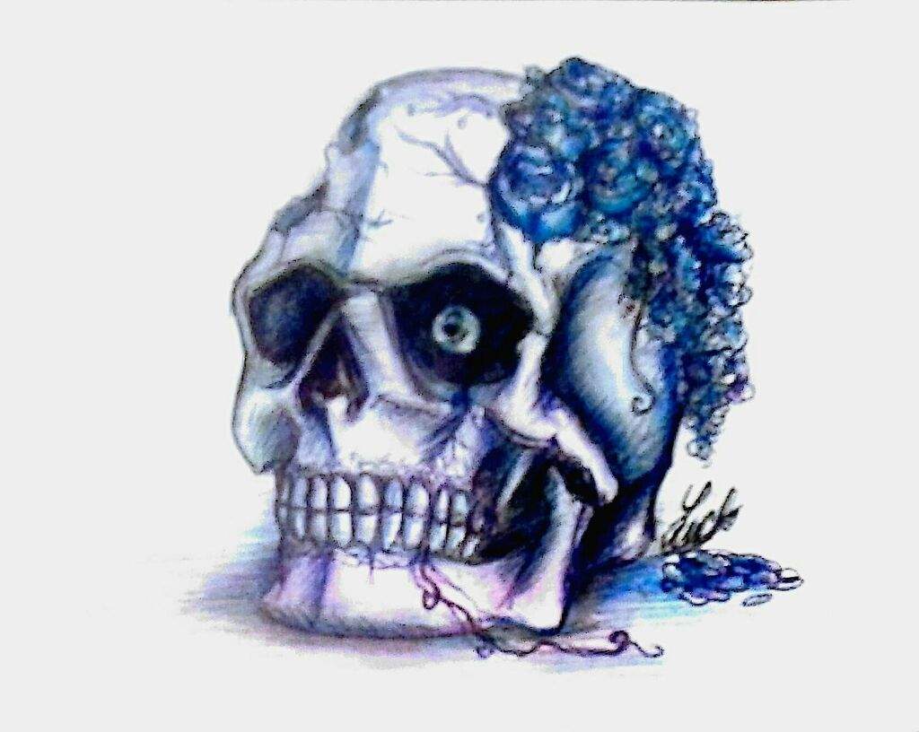 1024x816 broken hopes, broken skull undertale amino - Broken Skull Drawing