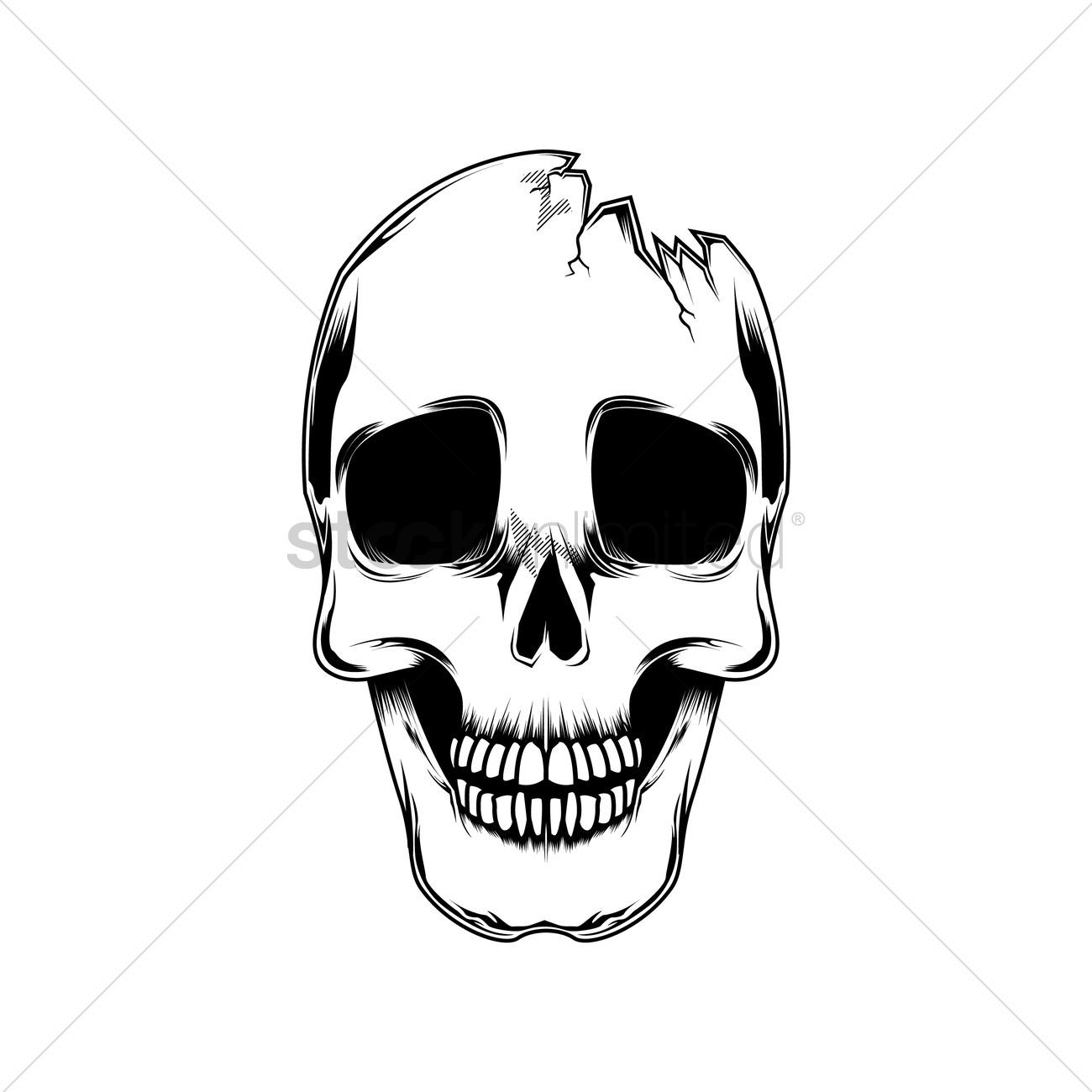 1300x1300 Broken Skull Vector Image - Broken Skull Drawing