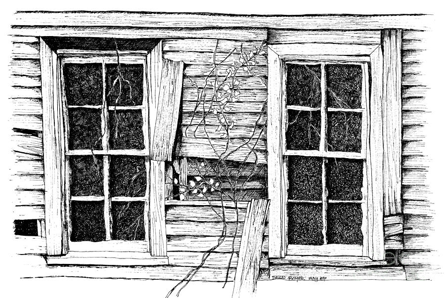 900x603 Broken Windows And Vines Digital Art - Broken Window Drawing