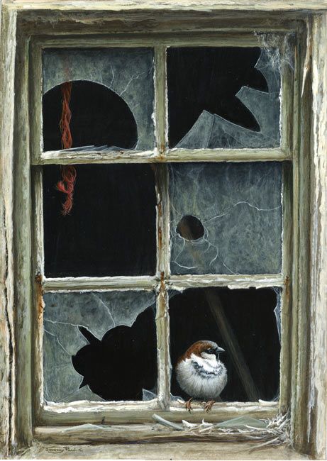 461x650 Broken Window Sparrow - Broken Window Drawing