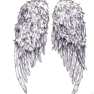 359x359 Broken Wings - Broken Wings Drawing