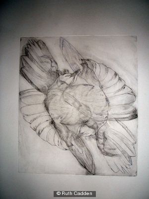 300x400 Bird With Broken Wing, Double Image - Broken Wings Drawing