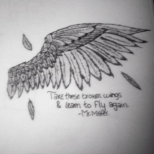 500x500 Take These Broken Wings Learn To Fly Again Mr Mister - Broken Wings Drawing