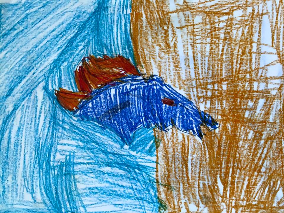 960x720 broncos drawing contest high tech elementary pta - Broncos Drawing