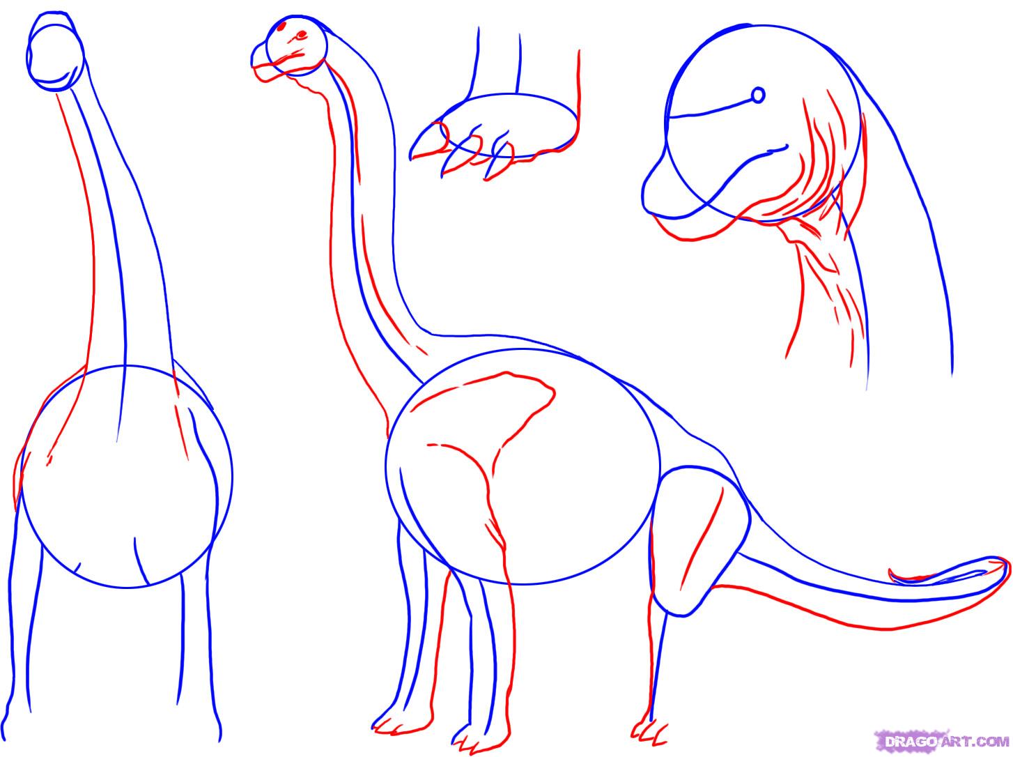 1454x1086 Draw A Brontosaurus, Step - Brontosaurus Drawing