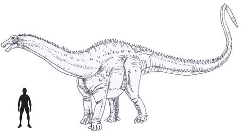 500x270 Drawing Of Brontosaurus Dinosaurs Dinosaur Drawing, Drawings - Brontosaurus Drawing