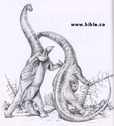 452x501 The Photogallery Of The Dinosaur Figurines Of Acambaro, Mexico - Brontosaurus Drawing