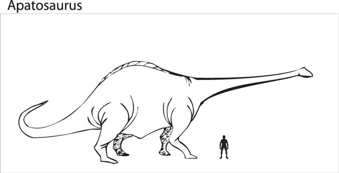 675x345 Why Brontosaurus Is No More - Brontosaurus Drawing