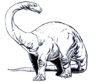 341x286 Brontosaurus Forgotten Realms Wiki Fandom Powered - Brontosaurus Drawing