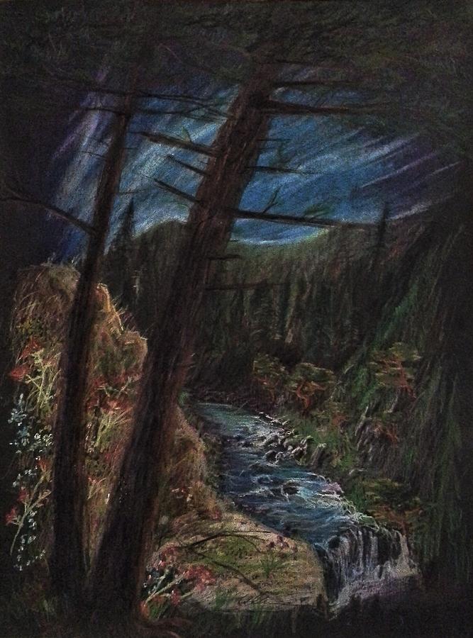 667x900 Pine Forest Brook Drawing - Brook Drawing