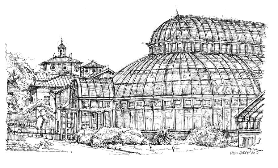 900x546 The Palm House In Brooklyn Drawing - Brooklyn Drawing