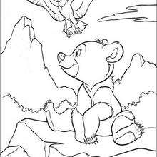 220x220 brother bear coloring pages - Brother Bear Drawing