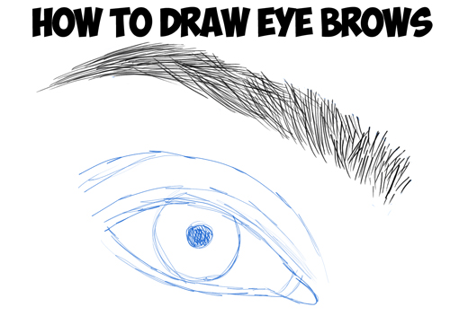 500x352 how to draw eye brows step - Brow Drawing