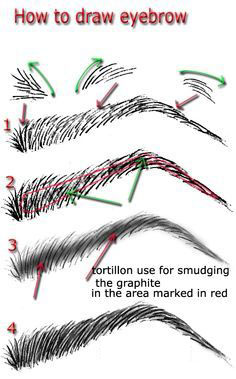 236x379 how to draw thick eyebrows - Brow Drawing