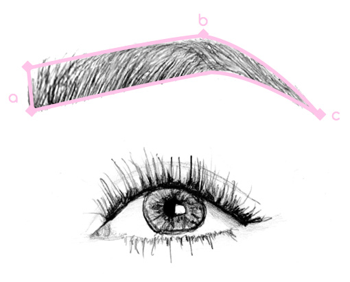 510x412 how to shape your brows at home - Brow Drawing