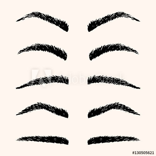 500x500 types of brow vector illustration template hand drawing eyebrow - Brow Drawing