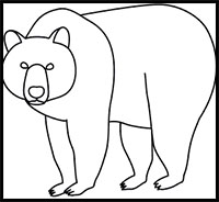 200x184 How To Draw Bears Drawing Tutorials Drawing How To Draw - Brown Bear Drawing