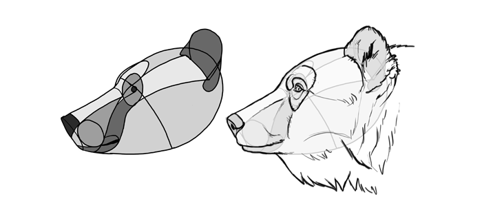 700x292 How To Draw Bears Big, Fluffy Clumsy - Brown Bear Drawing