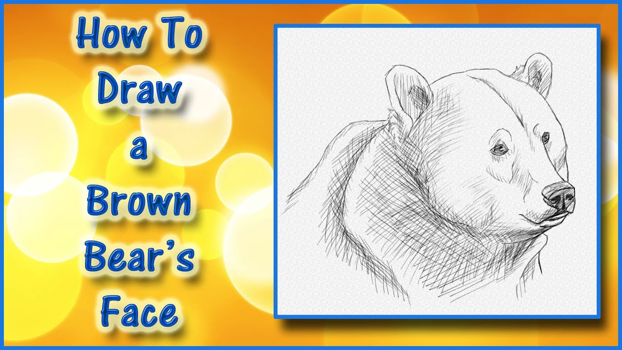 1280x720 how to draw a realistic brown bear's face drawing tutorial - Brown Bear Drawing