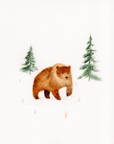 400x503 Bear Drawing Tumblr - Brown Bear Drawing