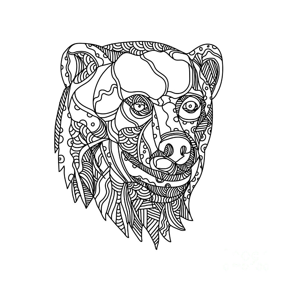 900x900 brown bear head doodle digital art - Brown Bear Line Drawing