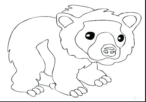 476x333 brown bear line drawing at free for personal use brown bear - Brown Bear Line Drawing