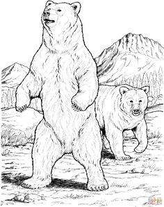 236x298 best line drawing images in embroidery, embroidery - Brown Bear Line Drawing