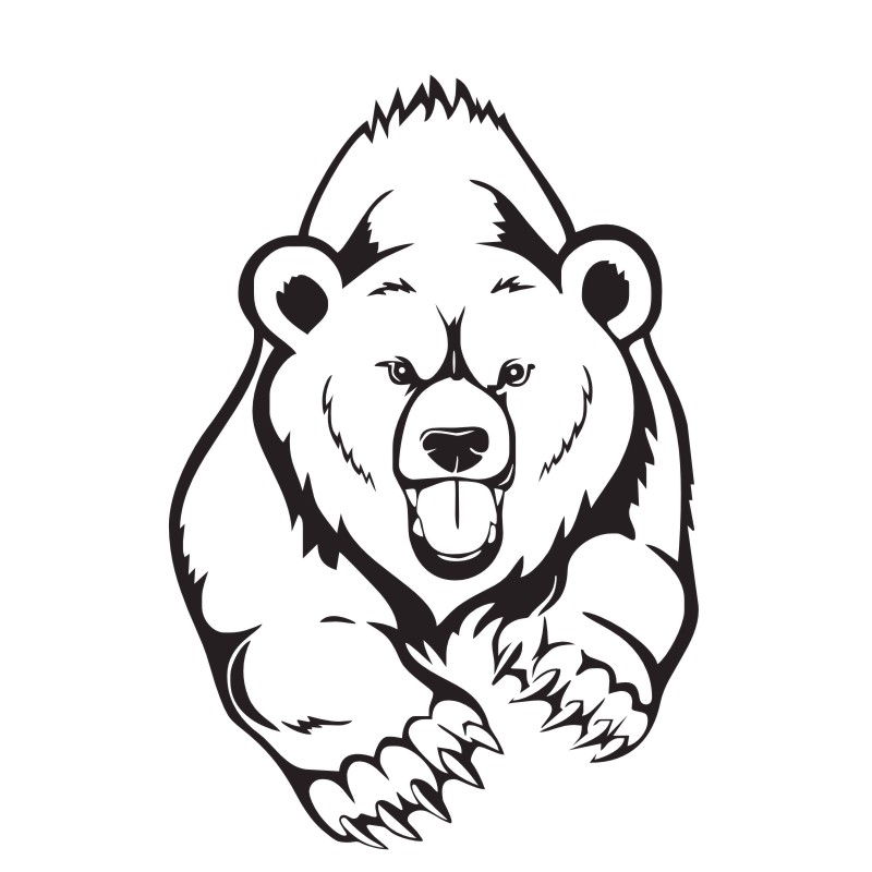 800x800 grizzly brown bear wall stickers for children animals predator - Brown Bear Line Drawing